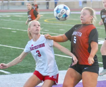 Tigers fall to Falcons 1-0 in district final